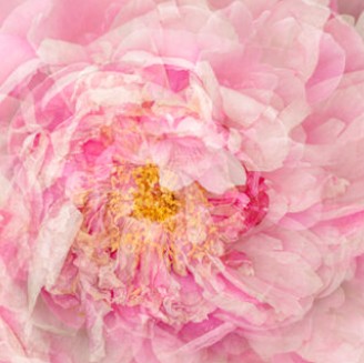 STest – Tue 8 April – Annual General Meeting and Presentation on Photography as an Art Form.